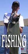 Guided Fishing Trips
