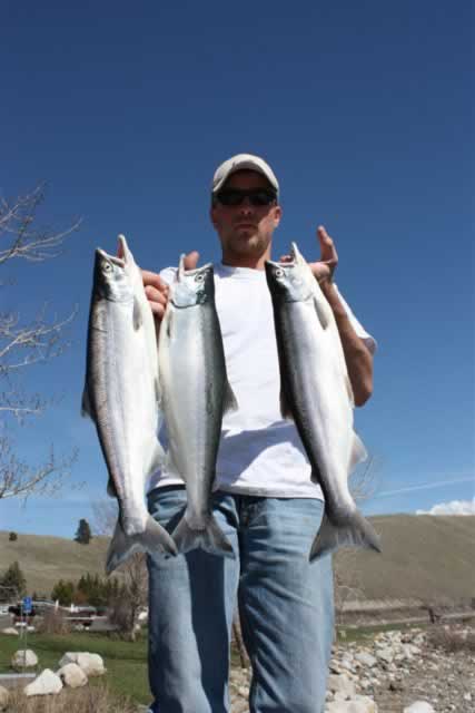 Wallowa Lake Kokanee