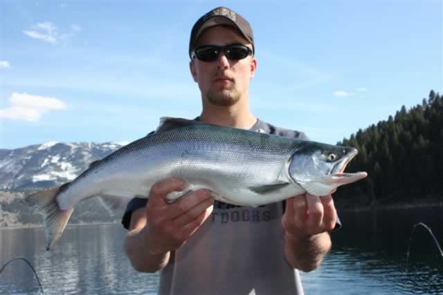 Wallowa Lake Kokanee!