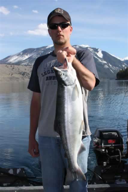 Wallowa Lake Kokanee